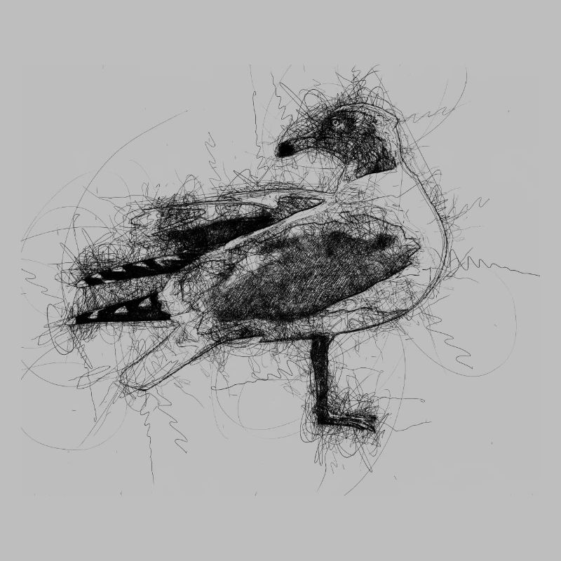 Mouette