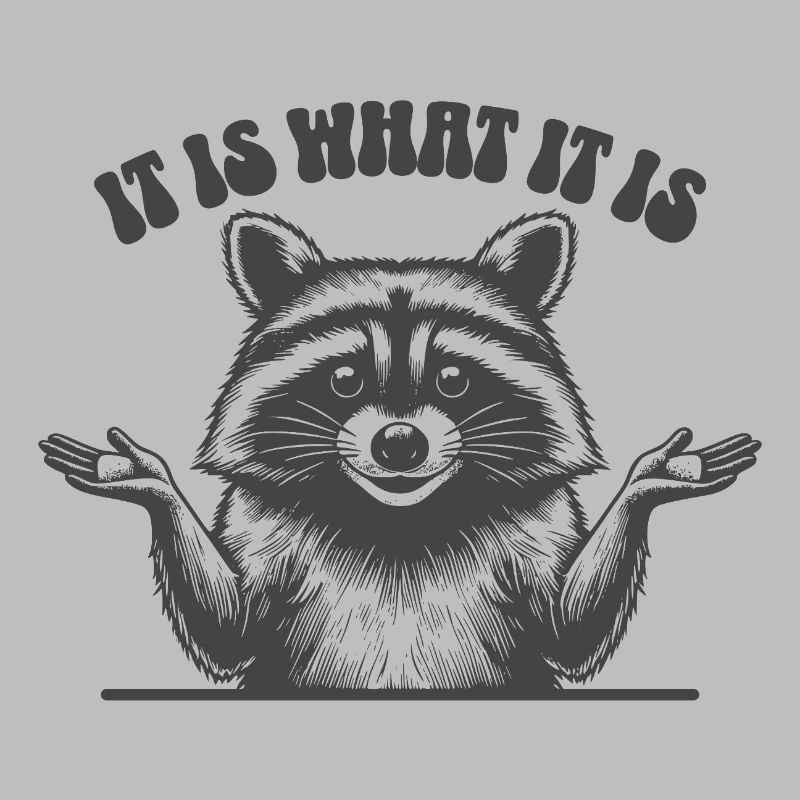 Raccoon - C’est ce que c’est
