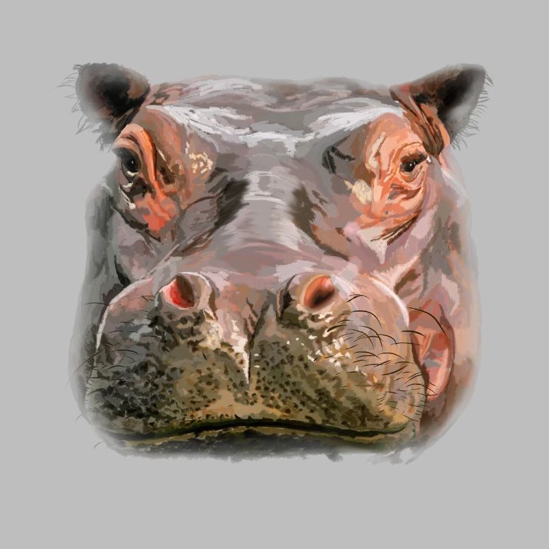 Porträt eines Hippos