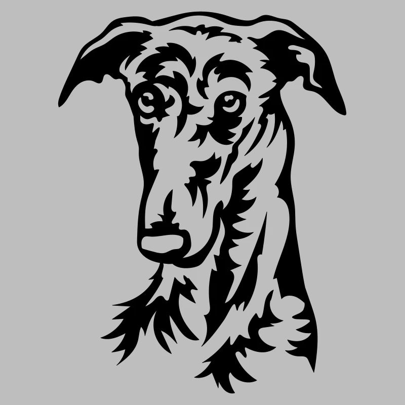 Galgo Kopf