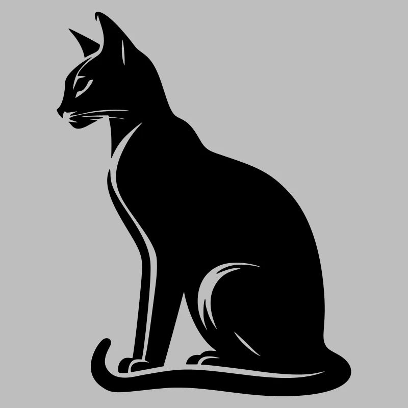 Abessiner Katze
