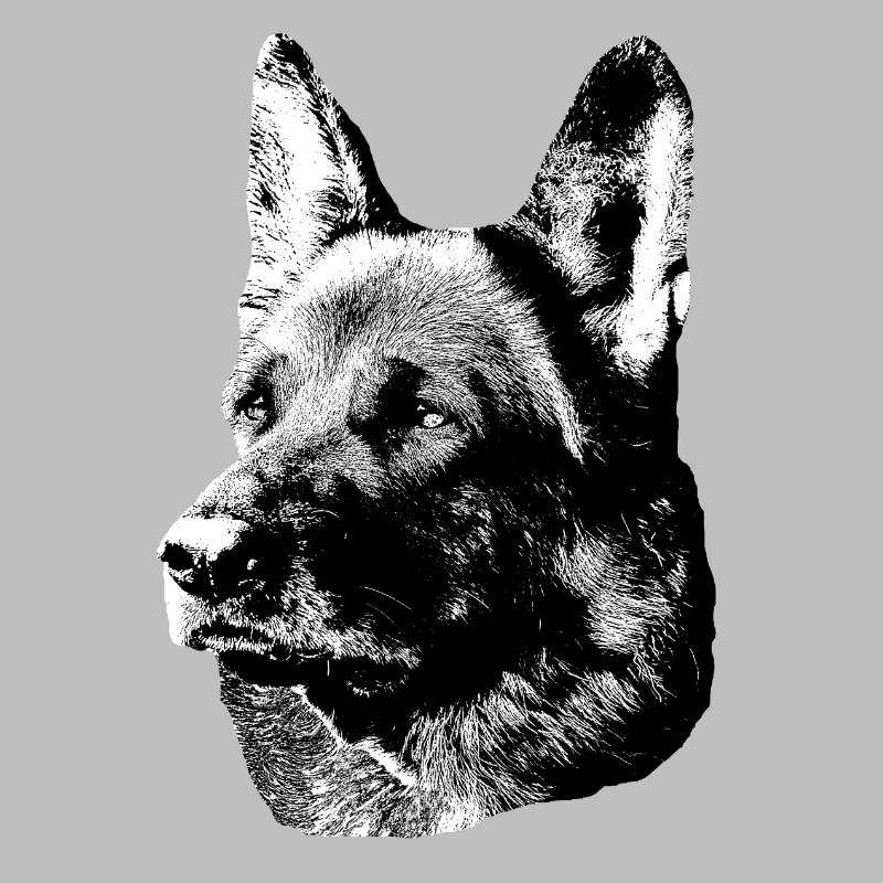 German Shepherd,Dog head,German Shepherd,Dogs