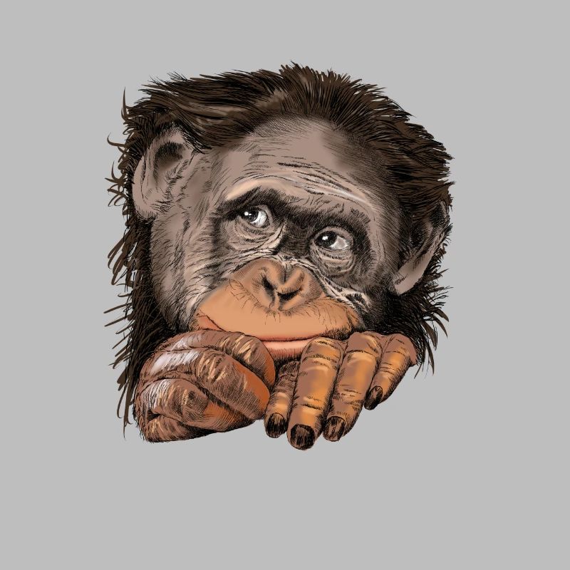 Monkey
