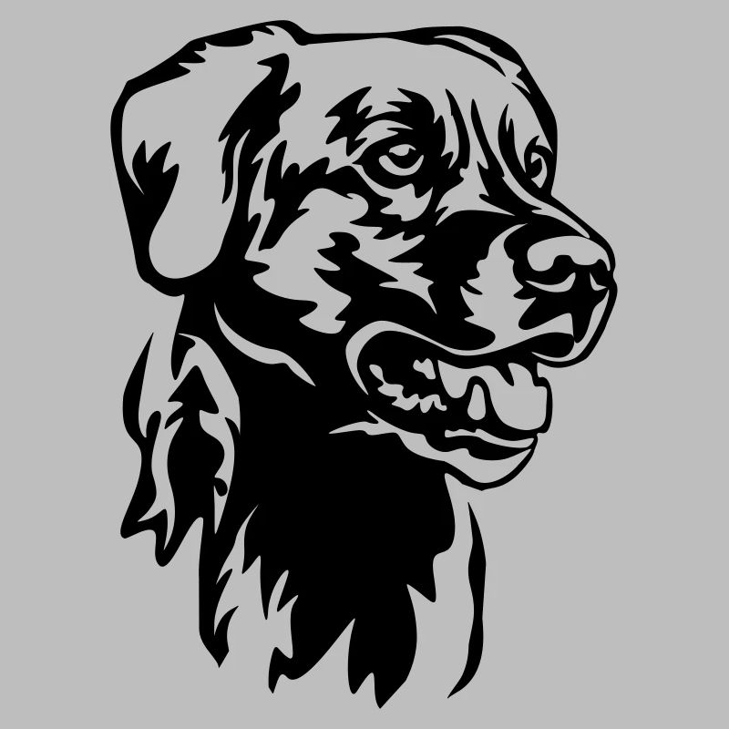 Labrador Head