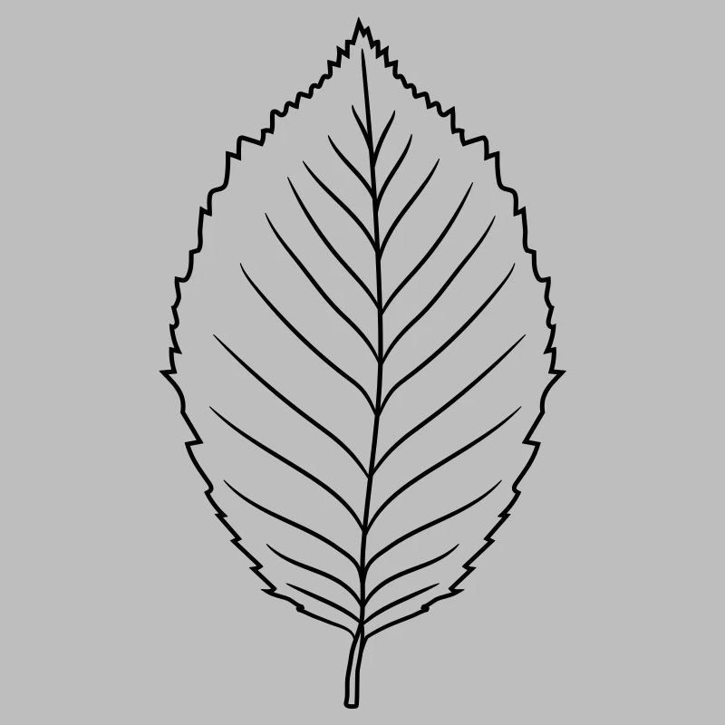 silhouette beech leaf tree plant shape clip art desig
