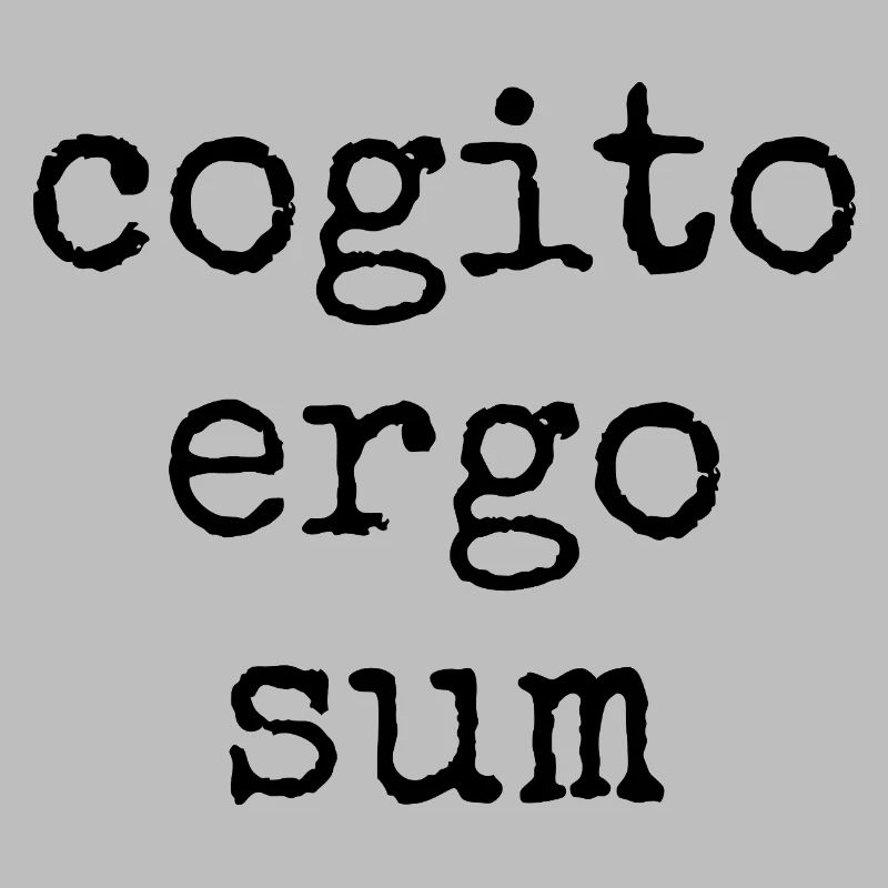 cogito ergo sum - ich denke also bin ich - Spruch