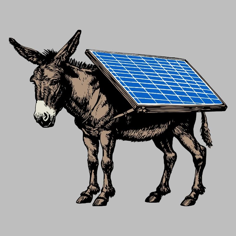 Solar - Donkey - Pack Animal, Pack Donkey, Solar Panel