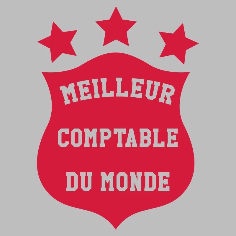Accountant / Accounting / Comptable / Comptabilité