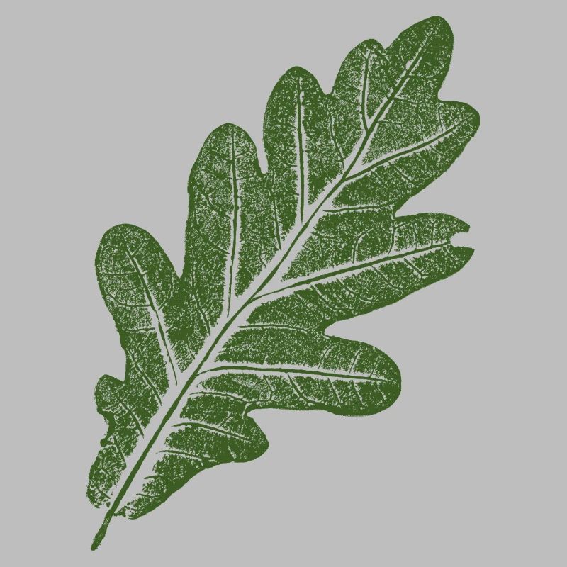Feuille de chêne / Vert