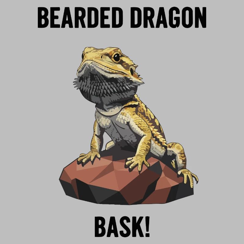 Agame Bearded Lizard Bask Bearded Dragon