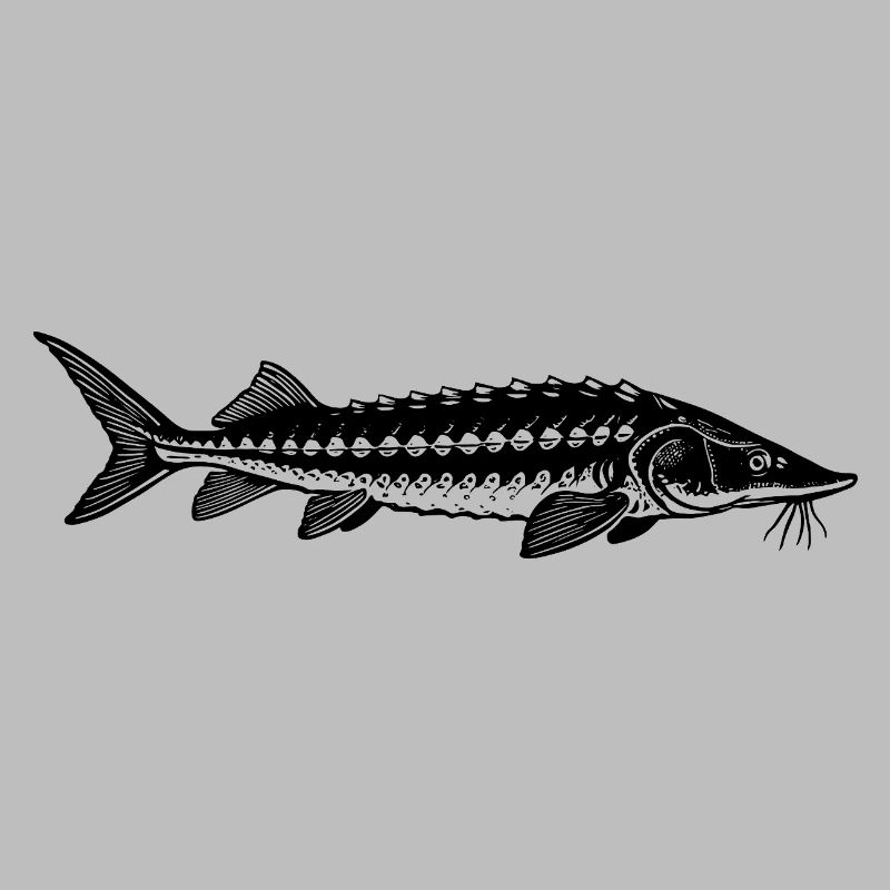 Target Fish Sturgeon - Fish - Angler Gift