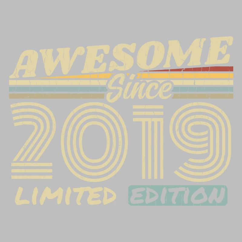 Vintage 2019 Retro - 2019 Geburtstagsgeschenk