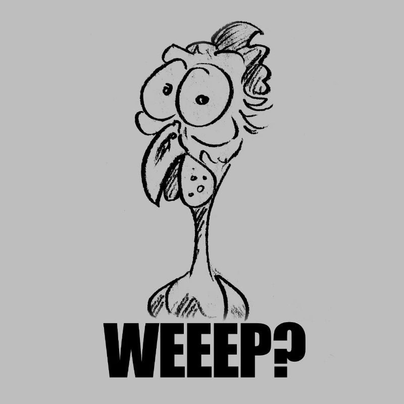 WEEEP? Baffled Chicken Head – Humor