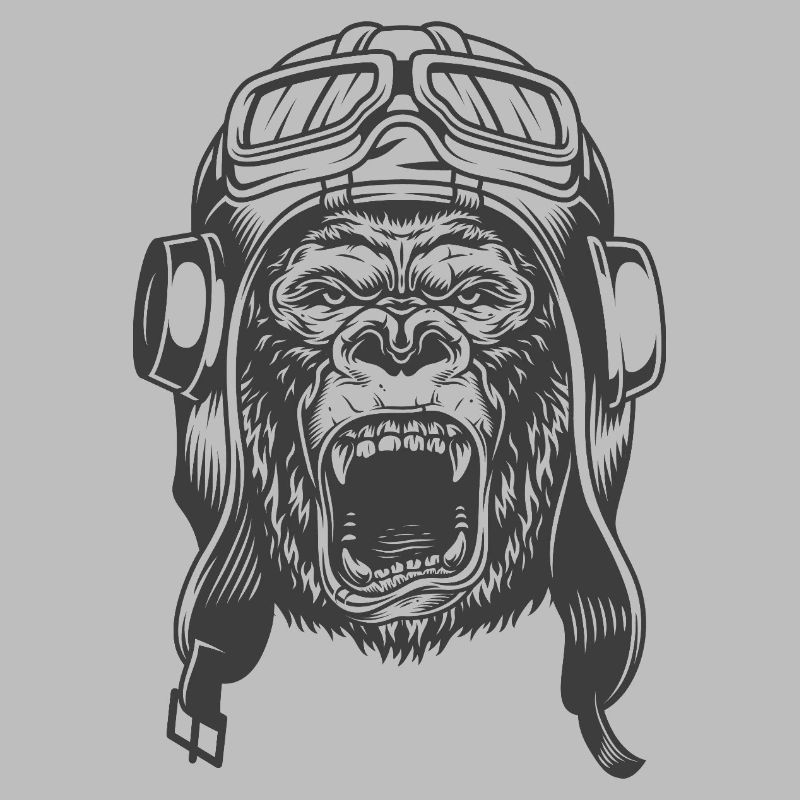Conception du pilote Gorilla