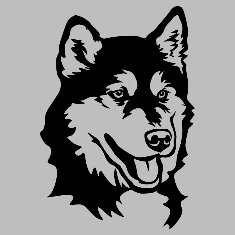 Alaskan Malamute Head