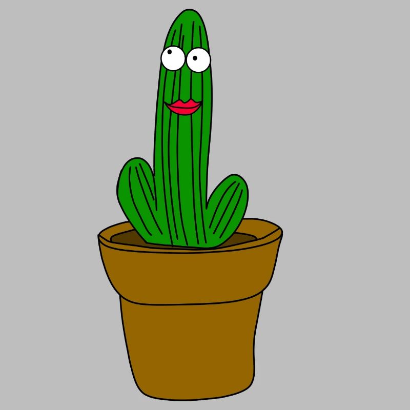 Cactus avec visage