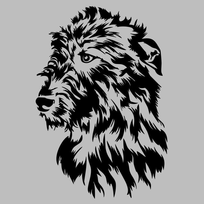 Irish Wolfhound head