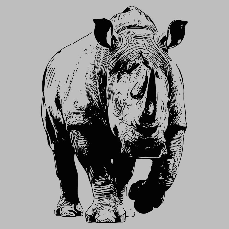 Nashorn