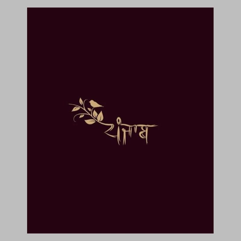 Punajb