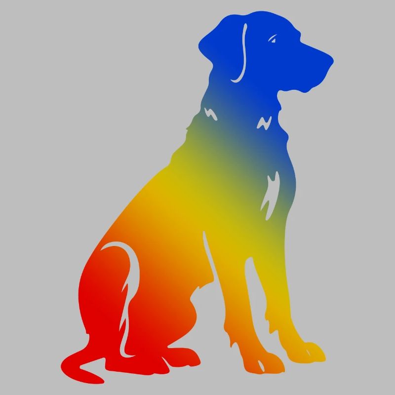 Dackel DachsHund Bunt Hund Bunt