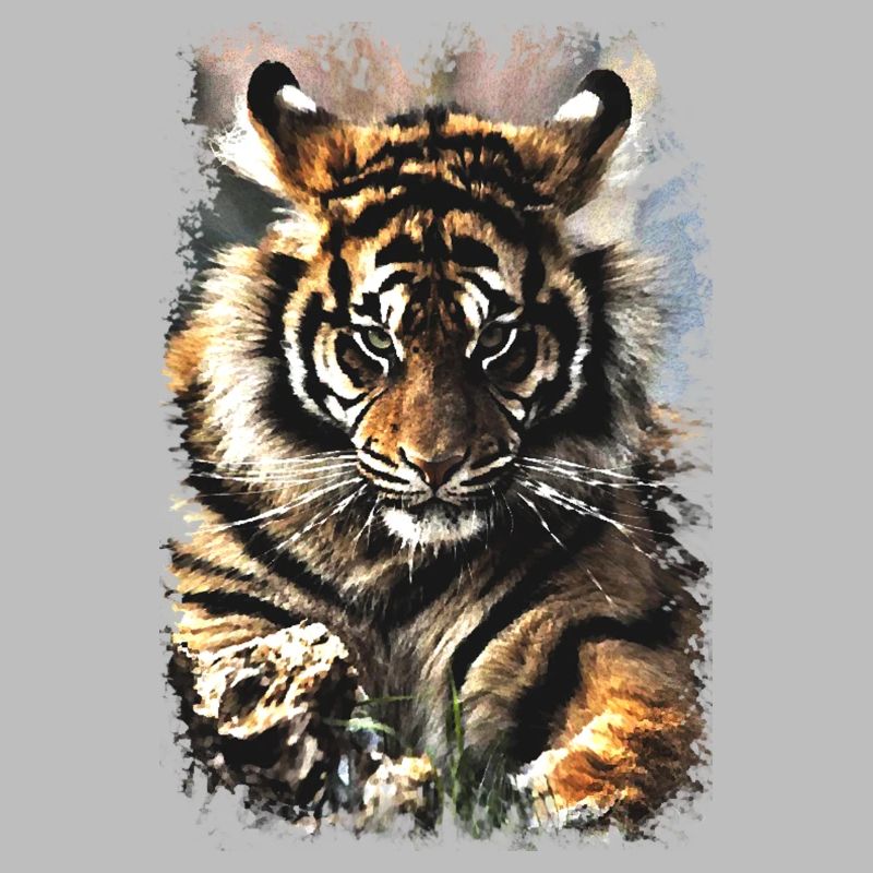 tiger