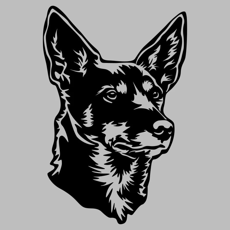 Australian Kelpie Kopf