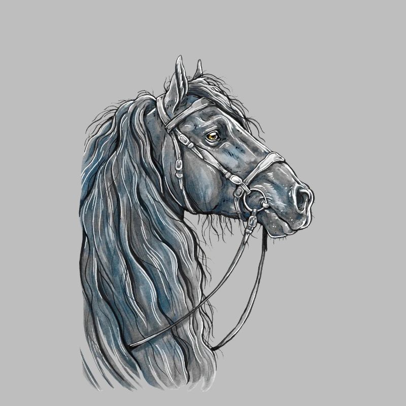 Portrait de cheval