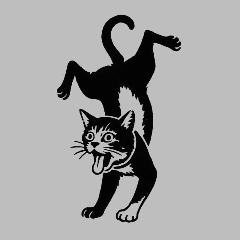 Saut de la silhouette du chat