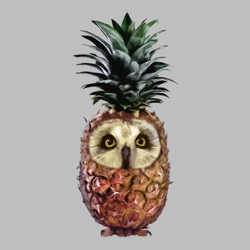 Ananas-Eule