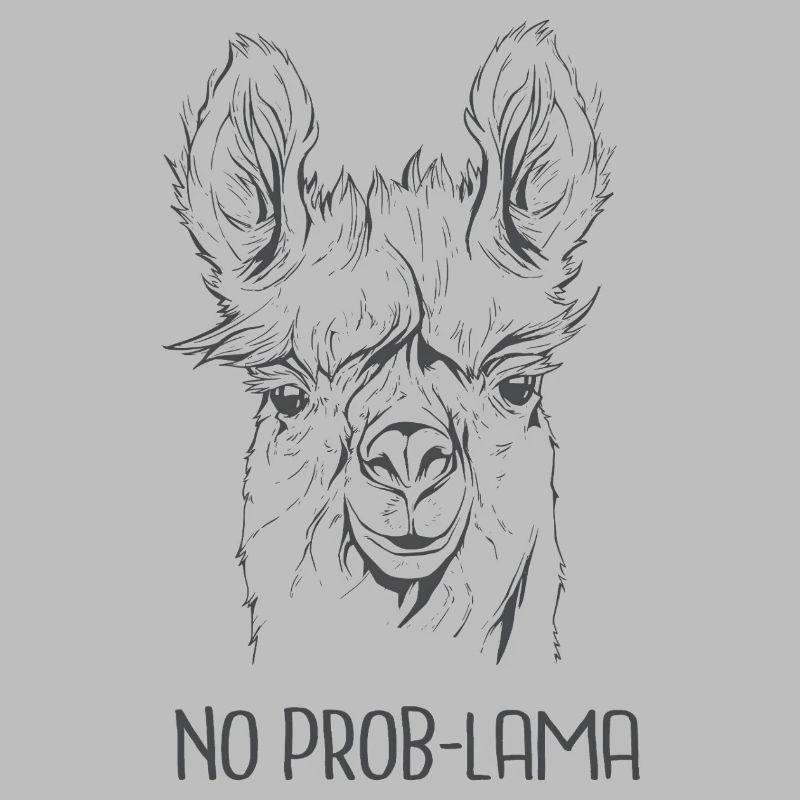 Pas de problème – Alpaga cool : expression drôle