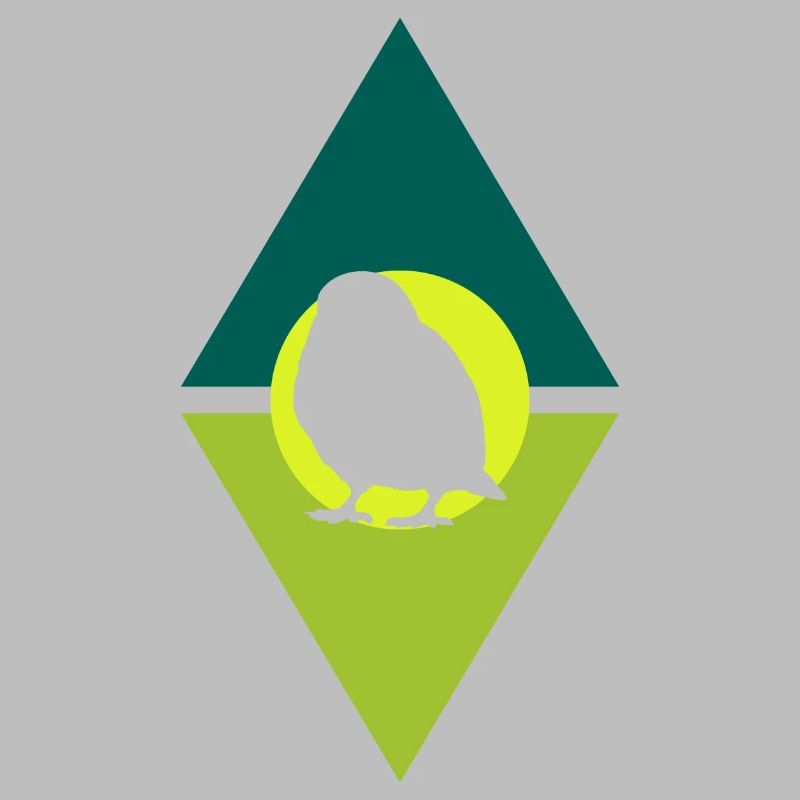 Perruche Oiseaux Oiseaux