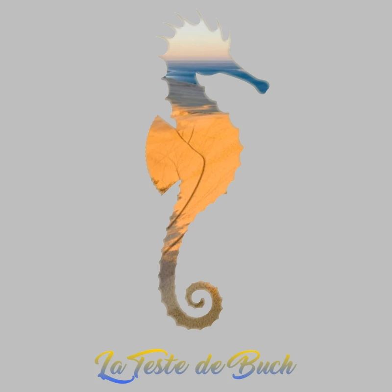 La Teste hippocampe
