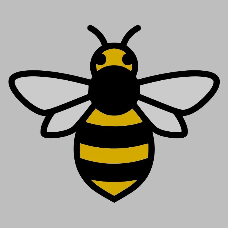 Bee Insect Cartoon