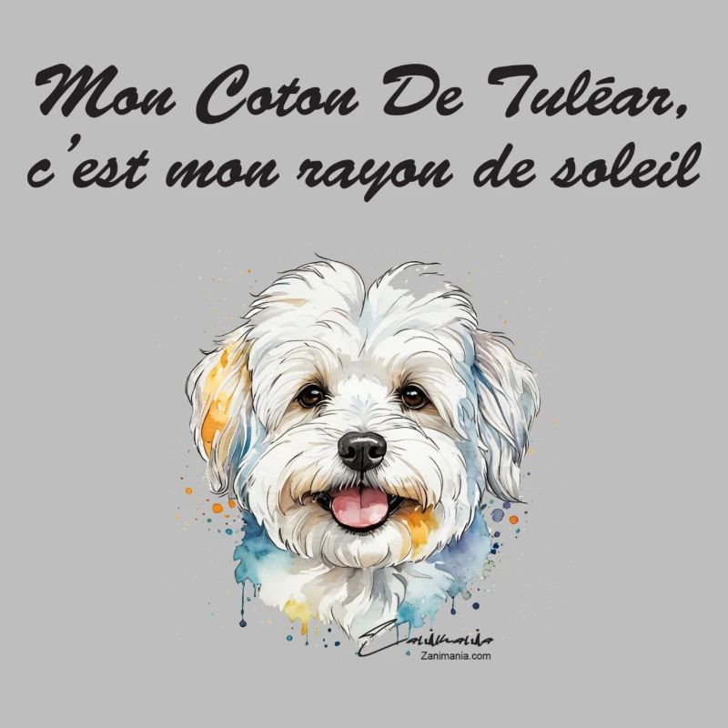 Coton de Tuléar rayon de soleil