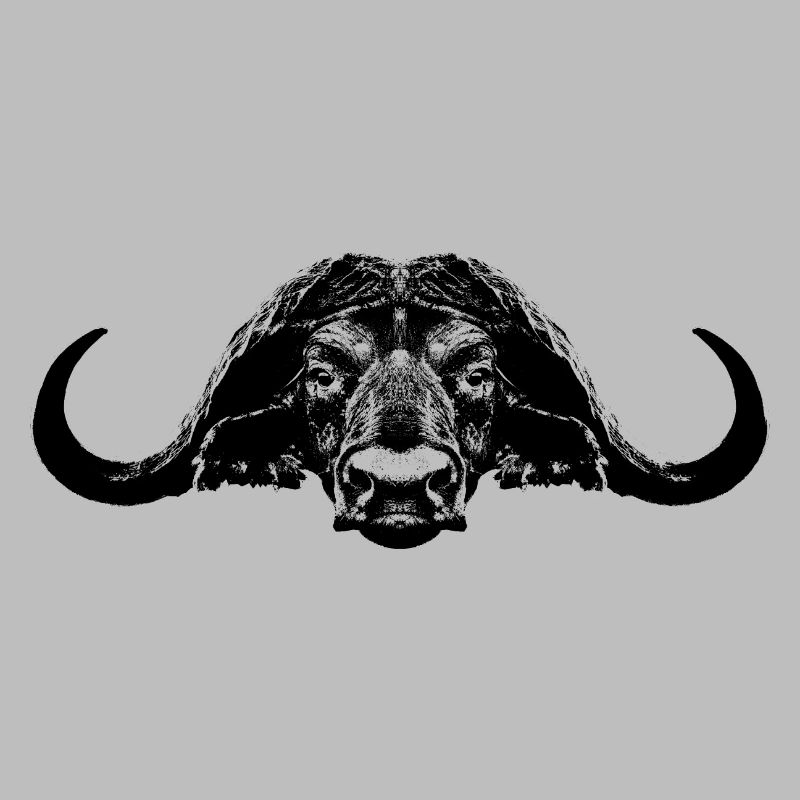 Büffel / Kaffernbüffel / Bull