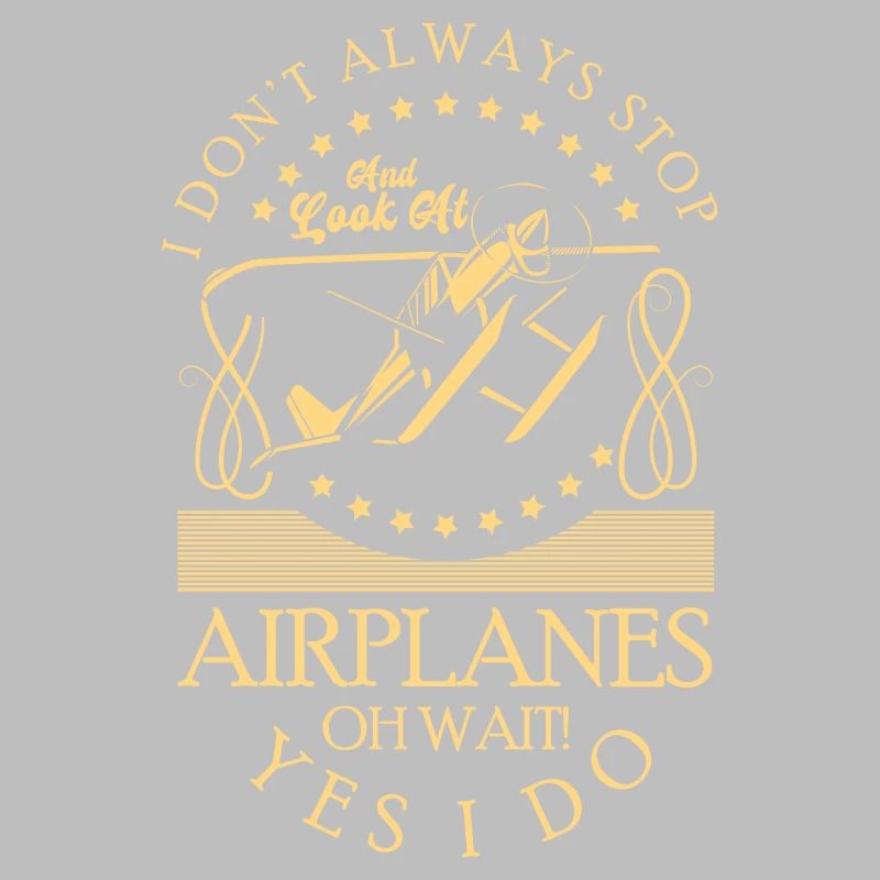 Model Airplane Hobby Pilot Model