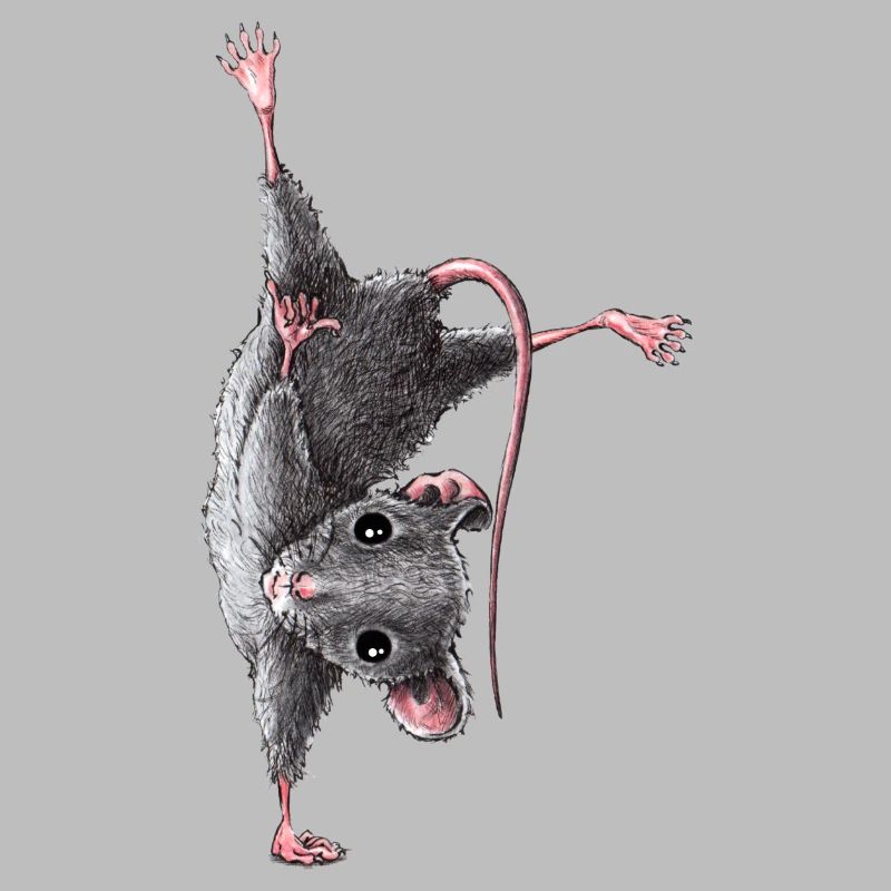 Mouse
