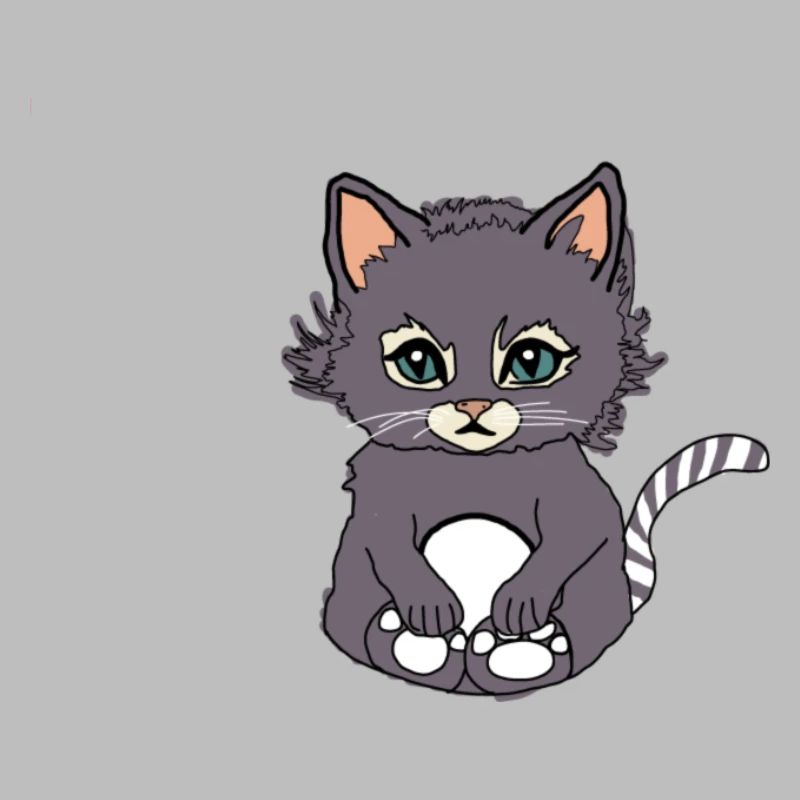 Katze