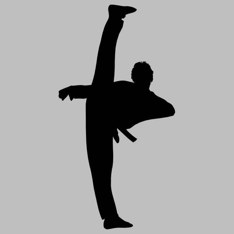 High Kick von Taekwondo oder Karate Schattenfigur