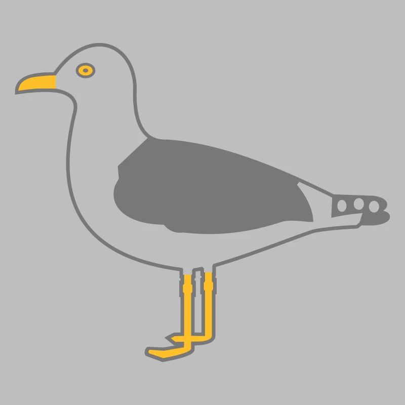 herring gull