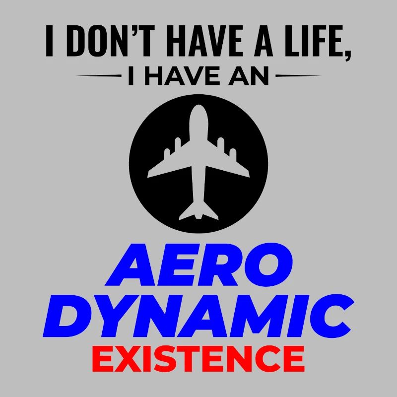 Aerospace Engineer Flight Mechanics Plane Airplane