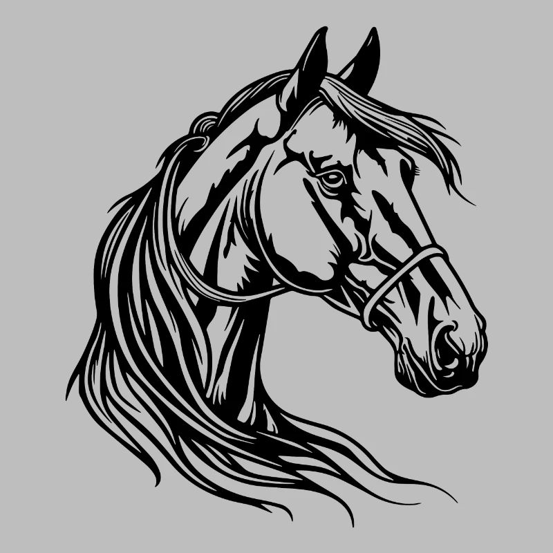 Cheval Tête de cheval
