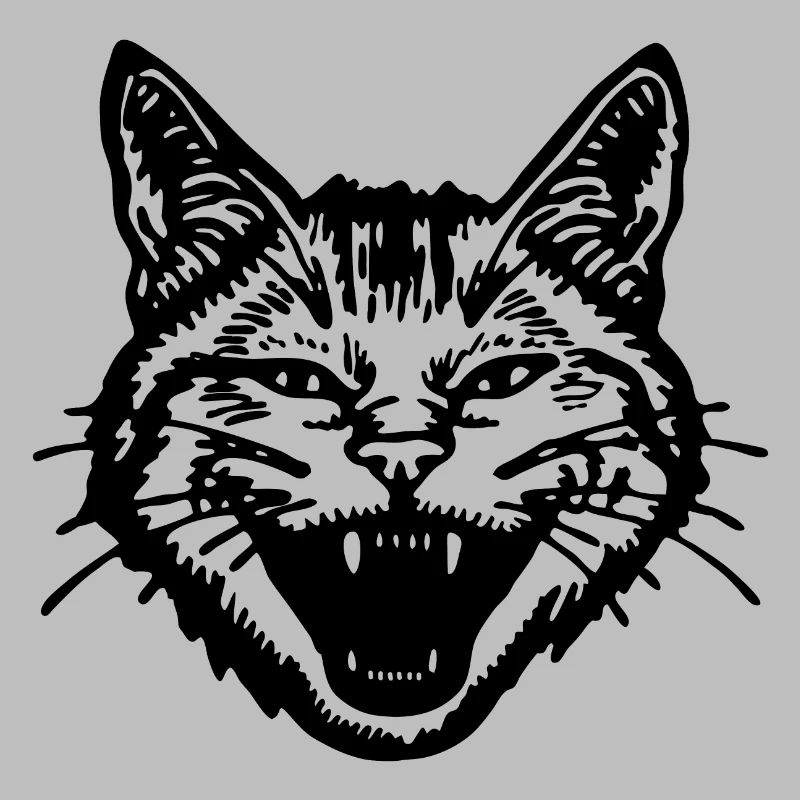 Chat Chats Chat Dame Chat Amoureux Chat Visage