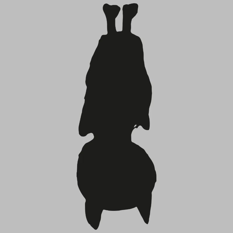 Fledermaus