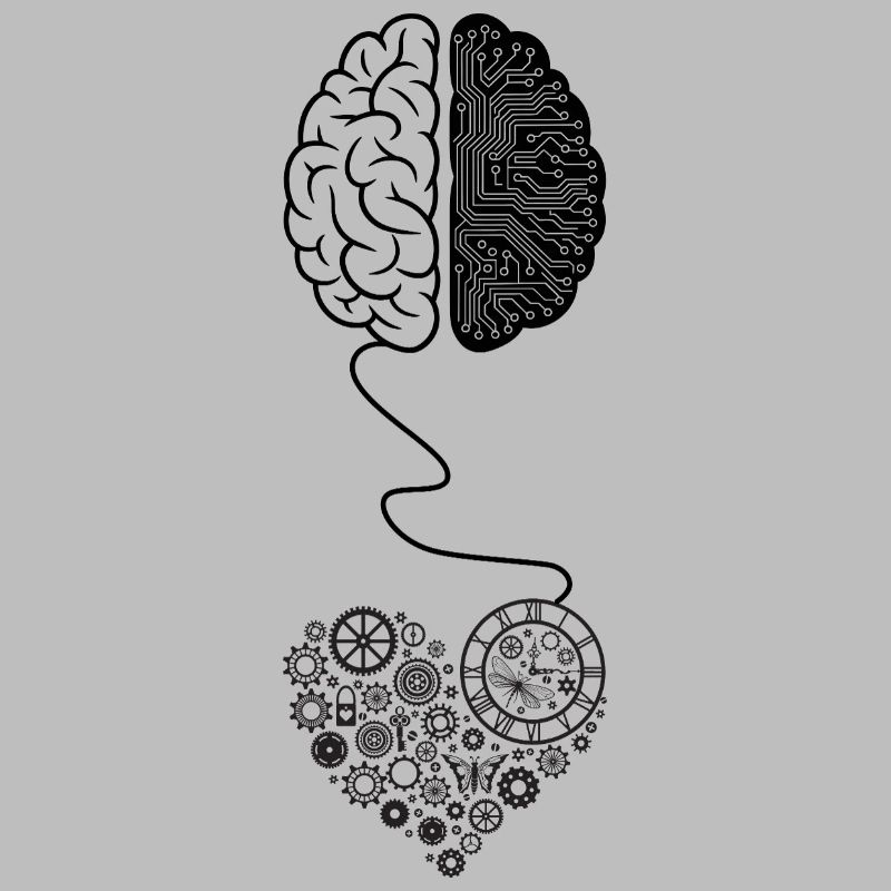 Biomechanical Brain Circuit Design