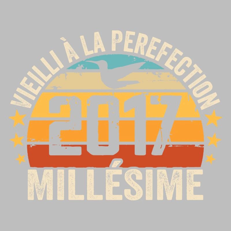 Millésime 2017 Cadeau D’anniversaire Rétro 2017