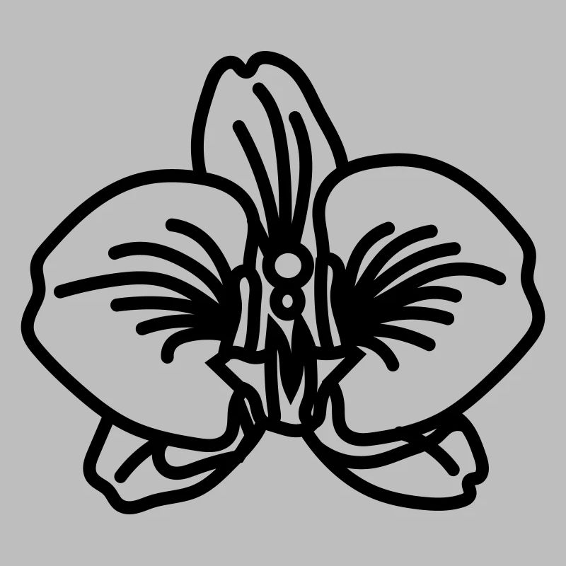 orchidée