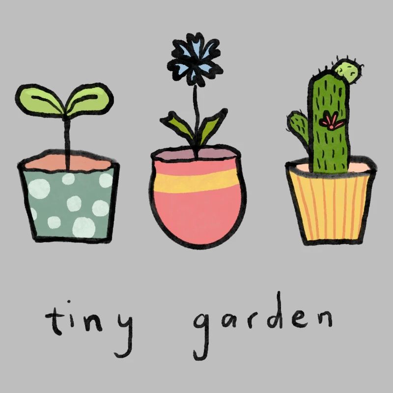 Tiny potted plants garden