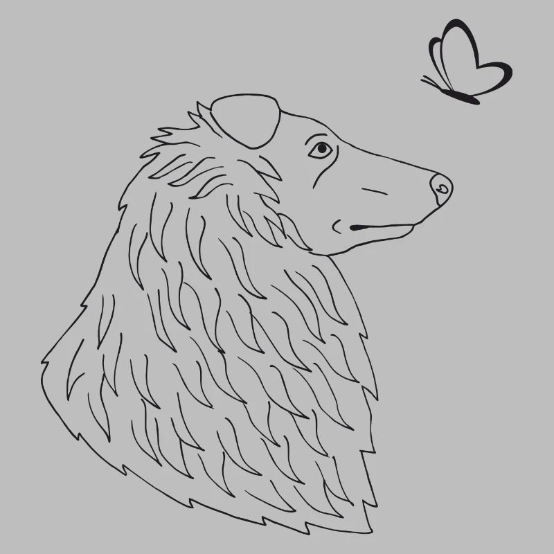 Collie mit Schmetterling