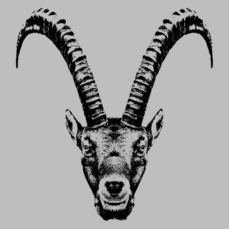 Capricorn / Head / Ibex / Frontal
